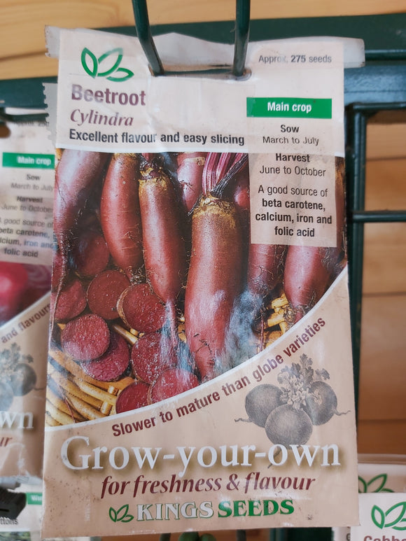 Beetroot Cylindra Seed Packet