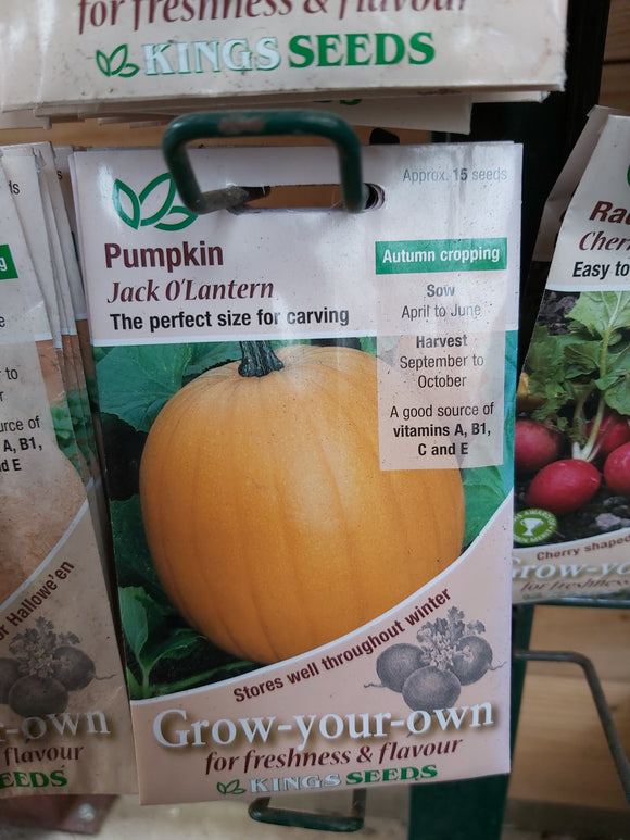 Pumpkin Jack O Lantern Seed Packet